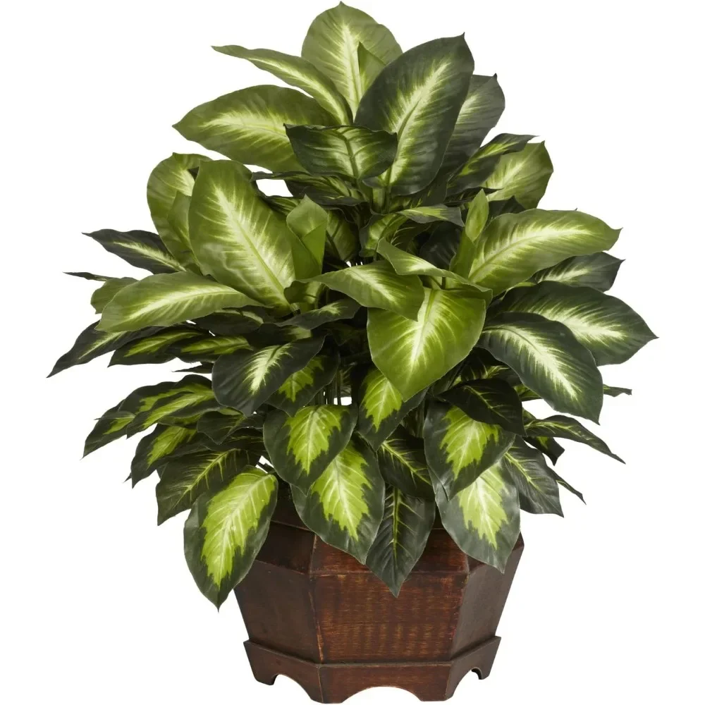

24in. Golden Dieffenbachia Silk Plant, Green