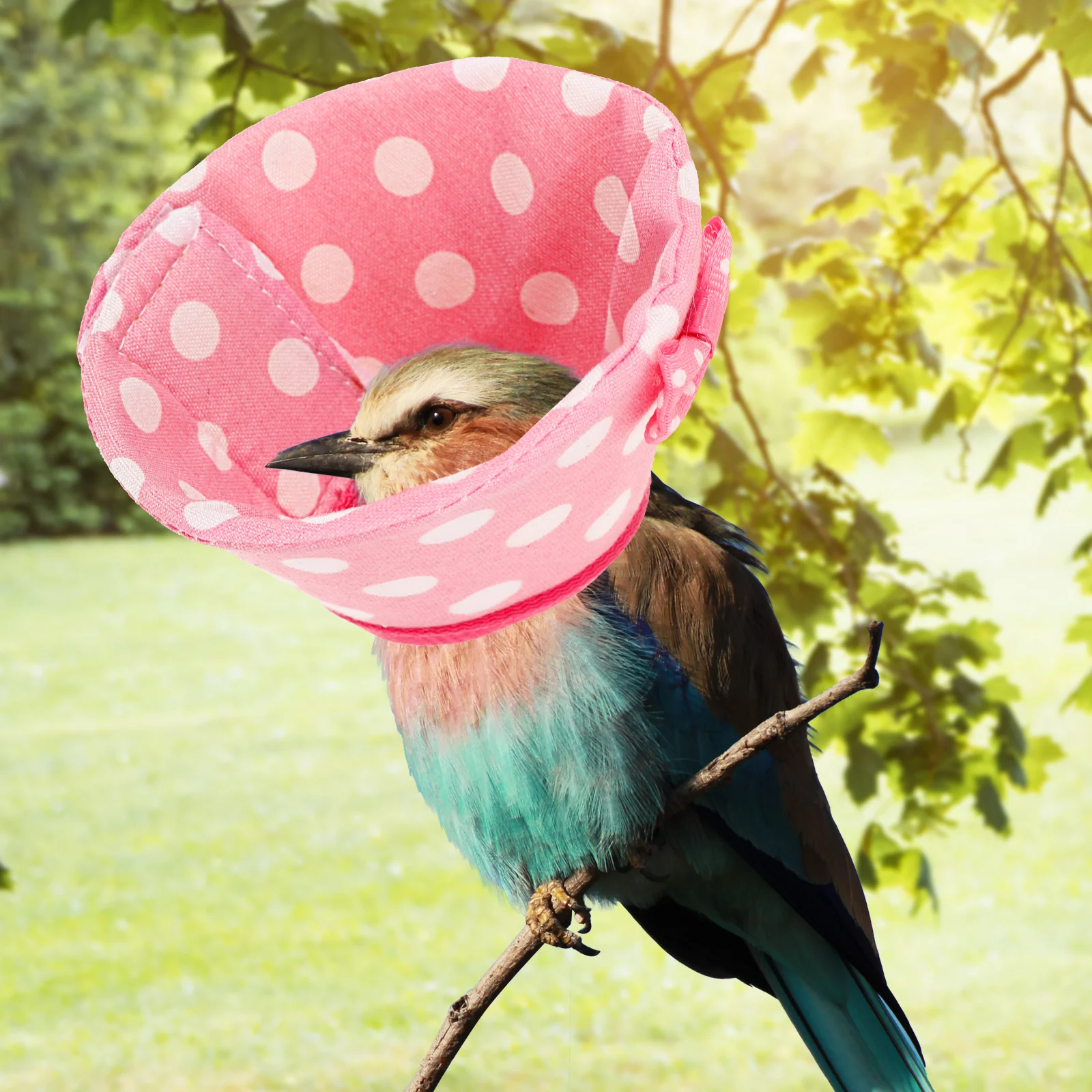 

Parrot Collar Anti-Biting Bird Recovery Protective Cone Collar Comfortable Neck Band for Wound Healing Parrot Neck Cone