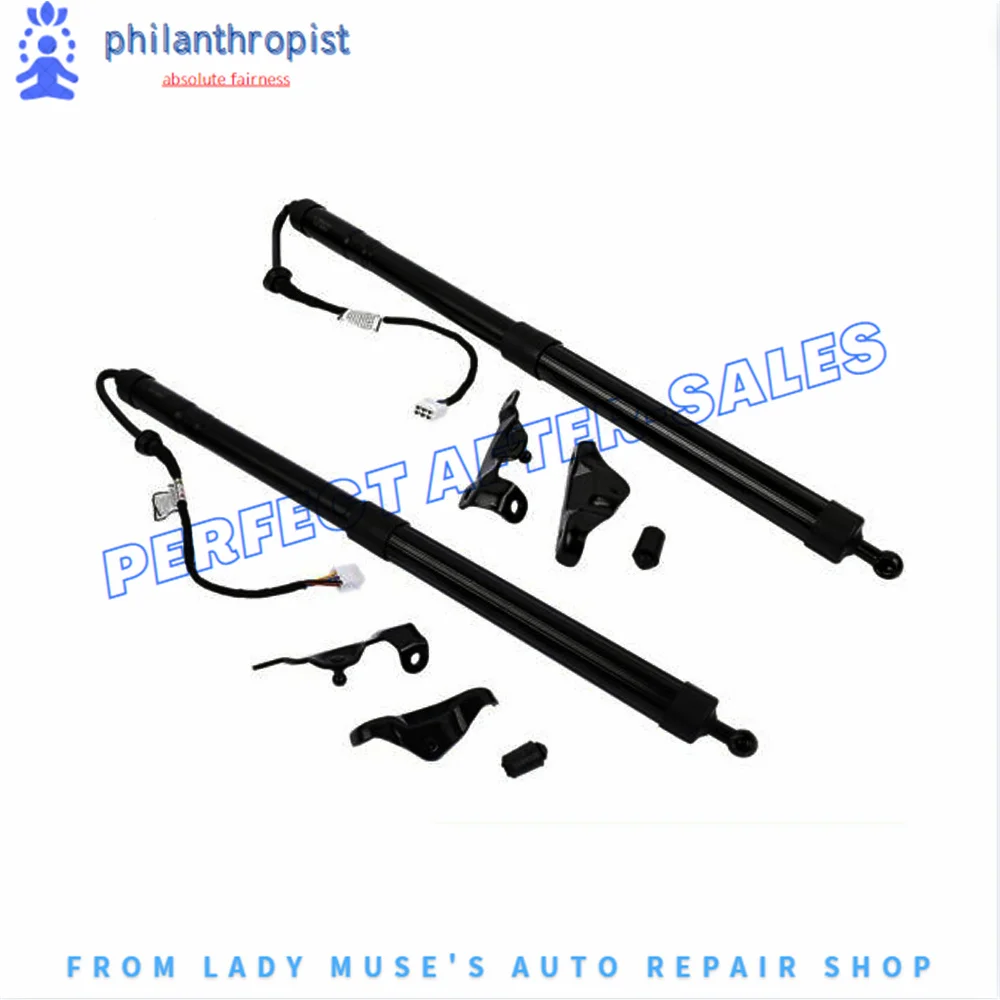 

2PCS Electric Tailgate Gas Struts for Toyota Highlander 6891009130 2014-2019 6891009051 6891009053 6892009020 6892009021