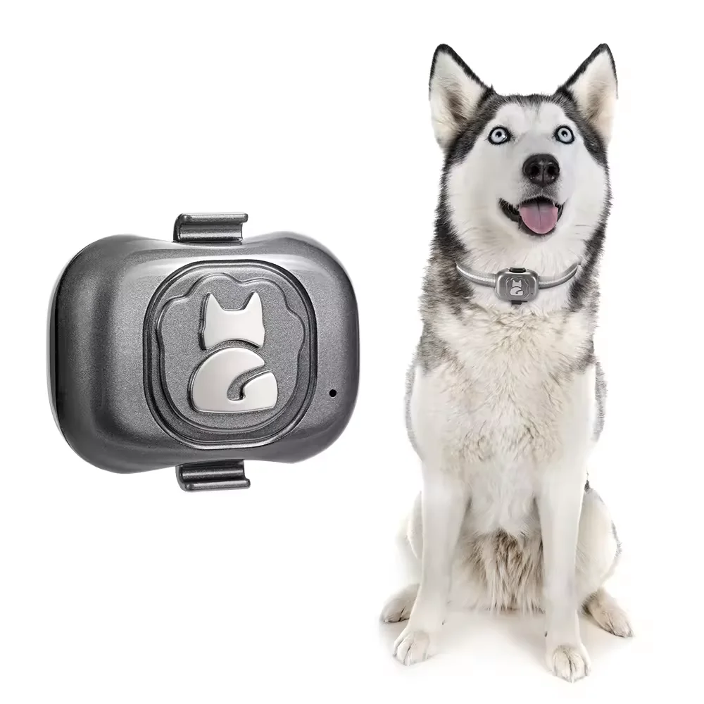 Waterproof Gps Tracker For Dogs Locator Anti-Lost Device Smart Phone Object Finder Small Alarm Pet Anti-Theft Device Collar