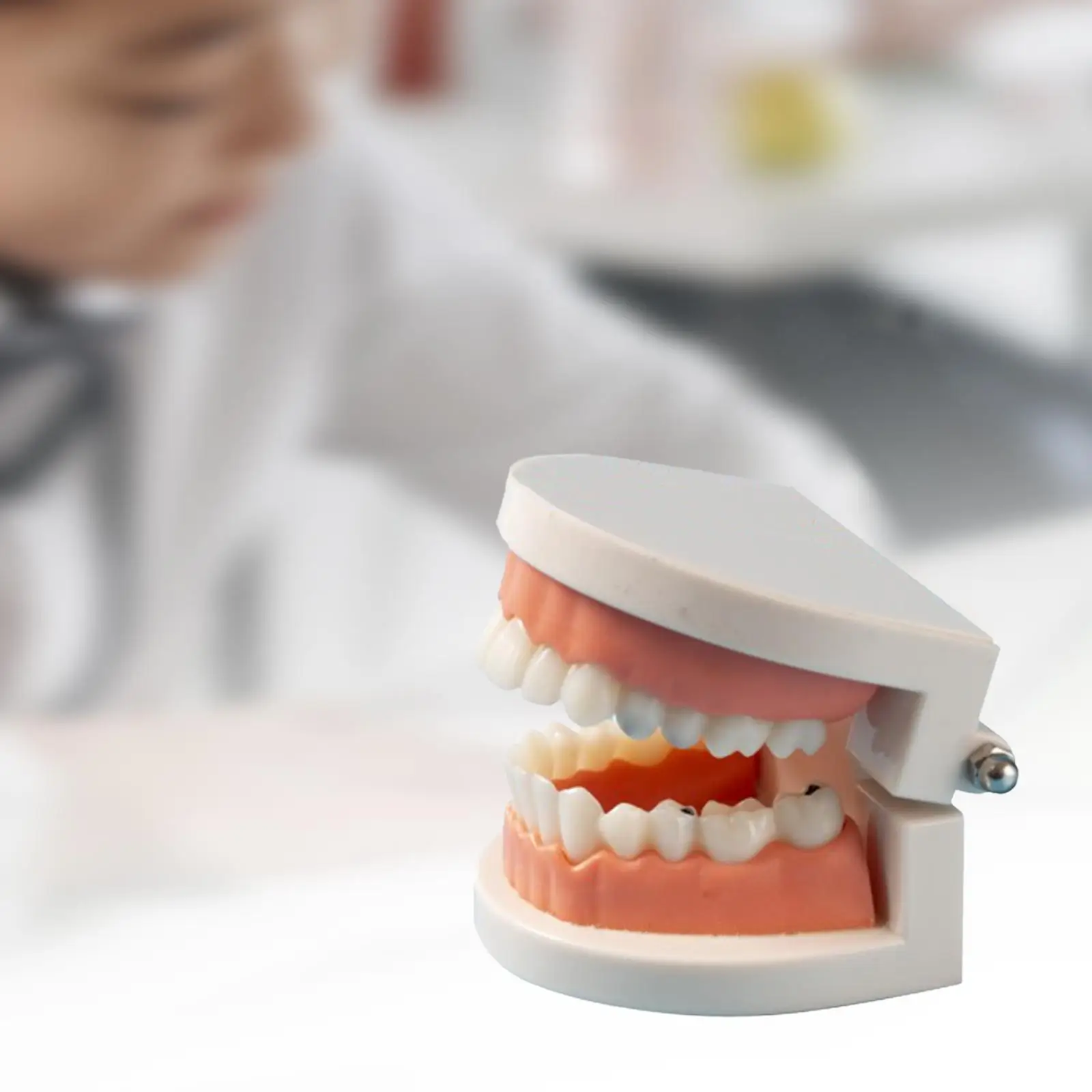 PVC Teeth Model for Kids Tooth Brushing Teaching 1 1 Dental Demonstration Tool Educational Toy for Classroom and Home Learning