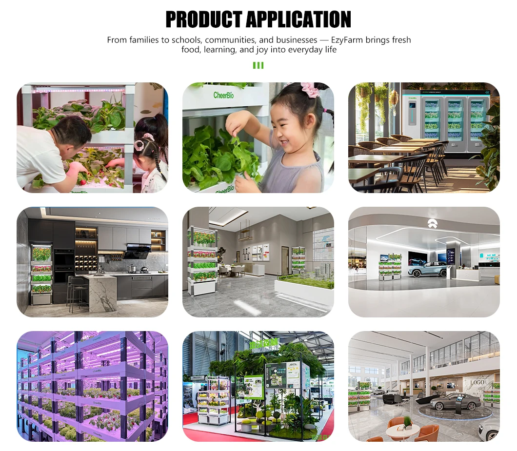 آلة مع 300-400 جرام الإنتاجية اليومية IoT الزراعة المائية الذكية #5