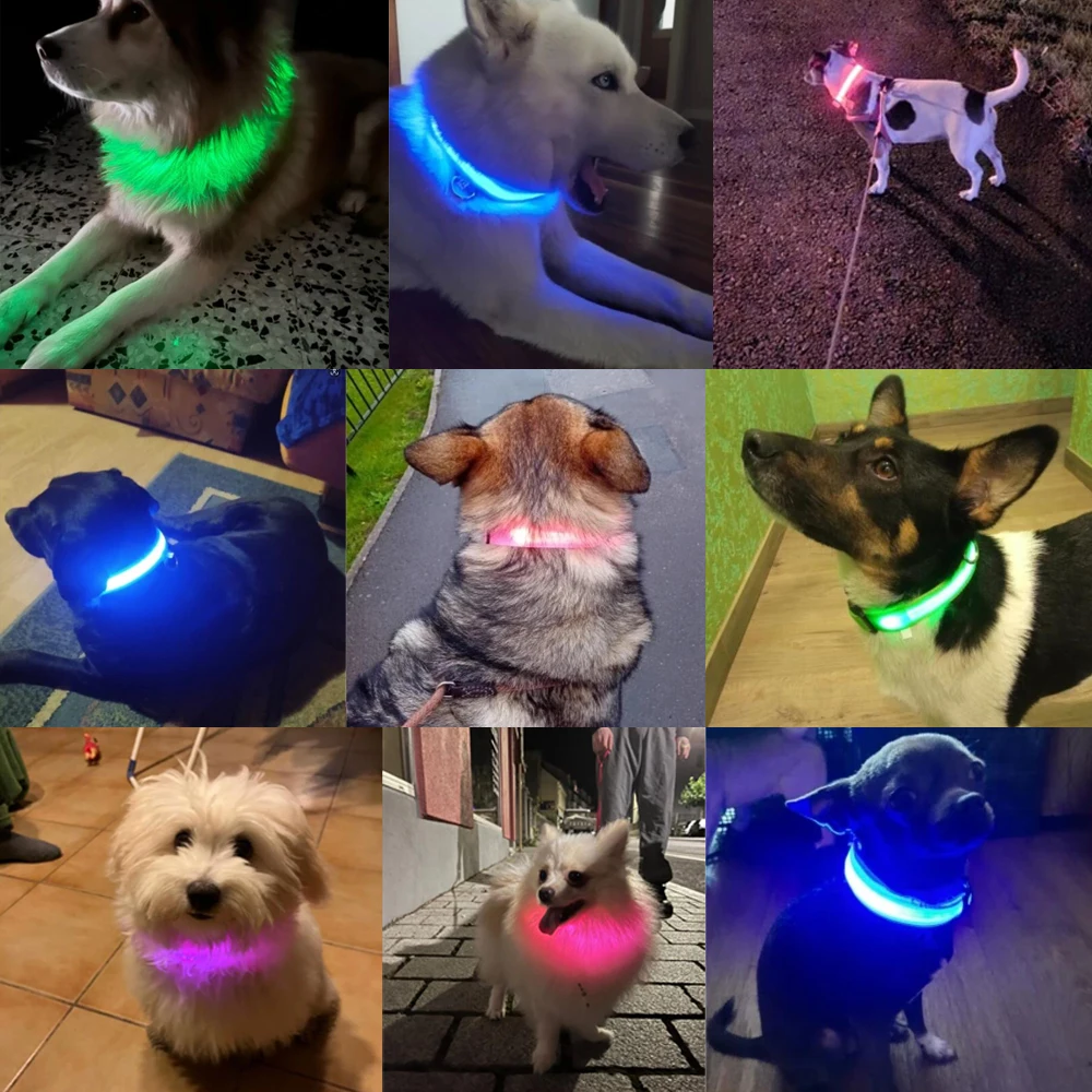 LED Glowing Dog Collar Adjustable USB Rechargeable Luminous Collar For Cats Dogs Night Anti-Lost Collar Pet Products Accessories