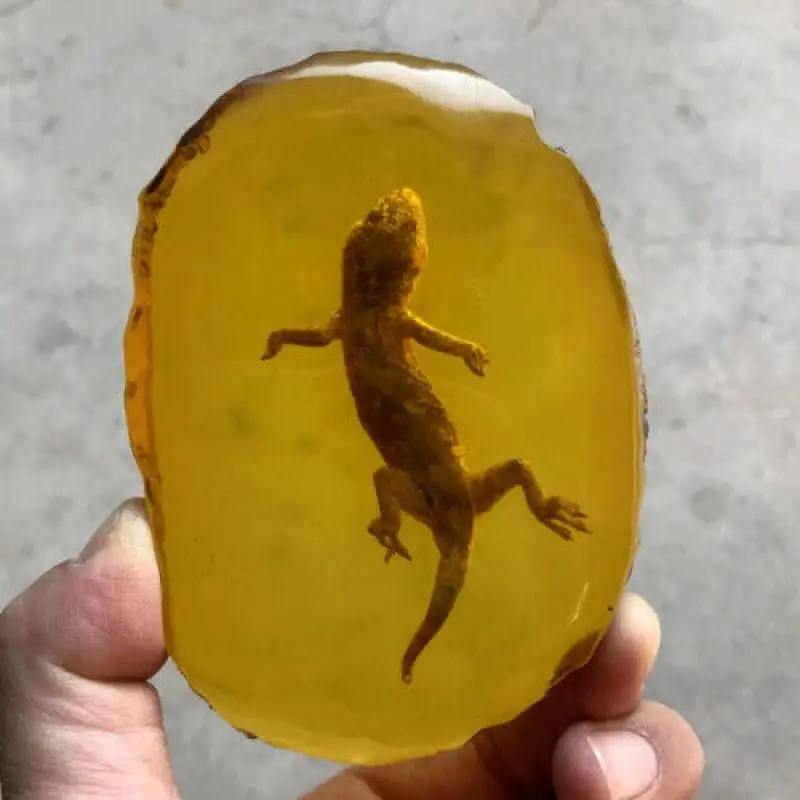 

Beautiful Amber Insects Manual Polishing Gecko Amber Ornaments