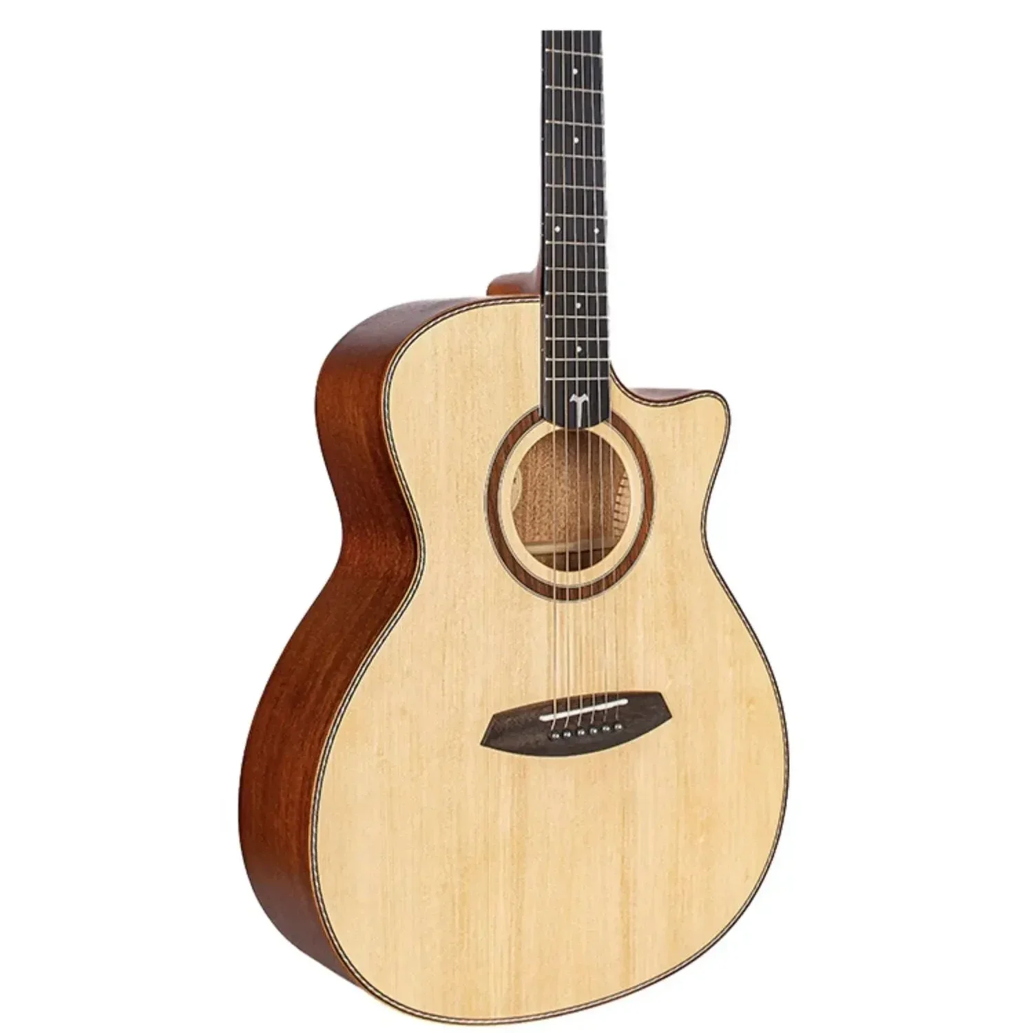 

TOM GA-T1ME 41 Inch Electric Box Version Wood Guitar Spruce Veneer Beginner Male And Female Student Travel Folk Guitar