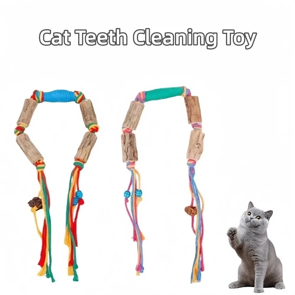 Nuevo Juguete Natural para Gatos, Barra de Matatabi, Cuerda Resistente para Morder, 55cm, Azul Verde, Juguete con Hierba Gatera para Jugar en Casa