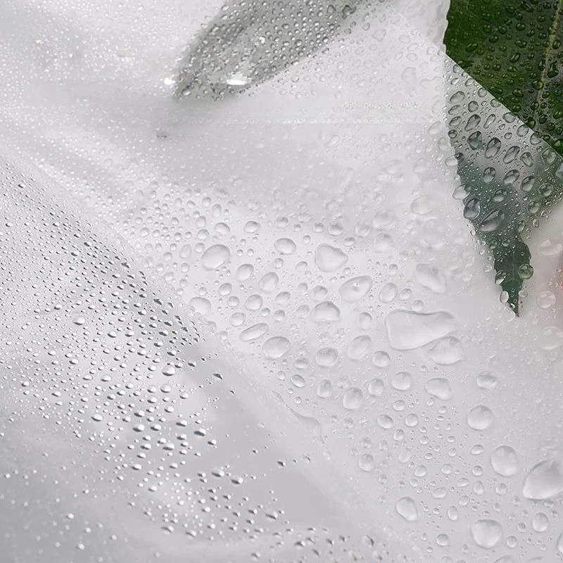 Tenda da doccia Tende da bagno impermeabili trasparenti Tessuto PEVA Stile moderno Resistente all'acqua con ganci per WC 200 cm