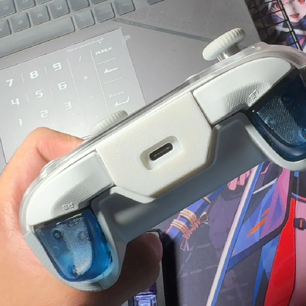 غطاء قبيح للغبار لوحدة تحكم Flydigi Vader 4 /3 pro Flydigi APEX 4 لوحة ألعاب لاسلكية مزودة بتقنية البلوتوث زوج واحد ملحقات وحدة التحكم في الألعاب