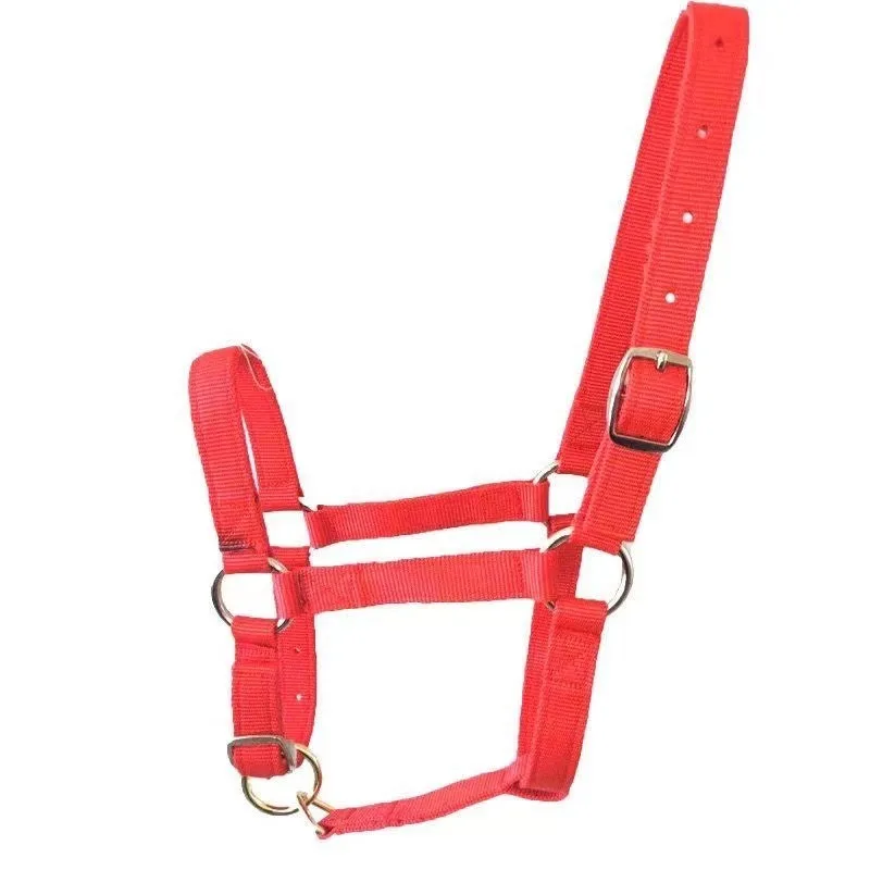 Horse Halter Soft Fleece Padded Adjustable Nylon Heavy Duty with Metal Buckles for Horse Pony Leading Grooming Training