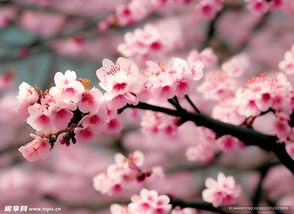 GEPRC RAD Whoop 5.8G FPV VTX, 40CH 400mW Max Plug-and-Play for DIY FPV Quadcopter/Whoop Drone (Replacement & Upgrade)