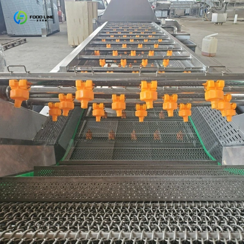 Palm Ginger Tomato Nut Cleaning Cleaner Fruit Vegetables Air Bubble Washer Machine FL Customized