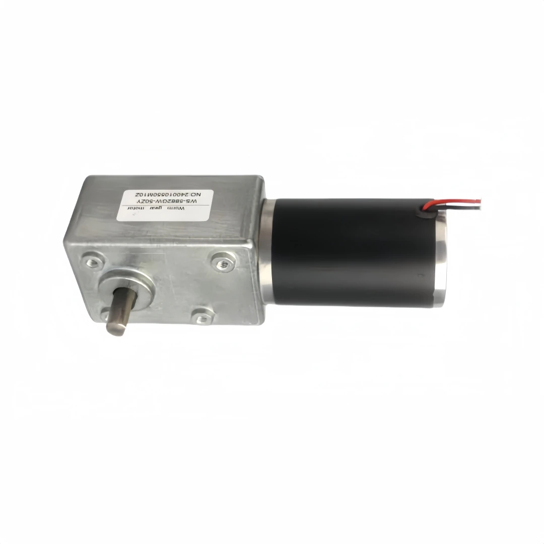 Worm Gear Reduction Dc motor adjustable speed High torque self-locking motor WS-5882GW-50ZY-DC12V-30rmp