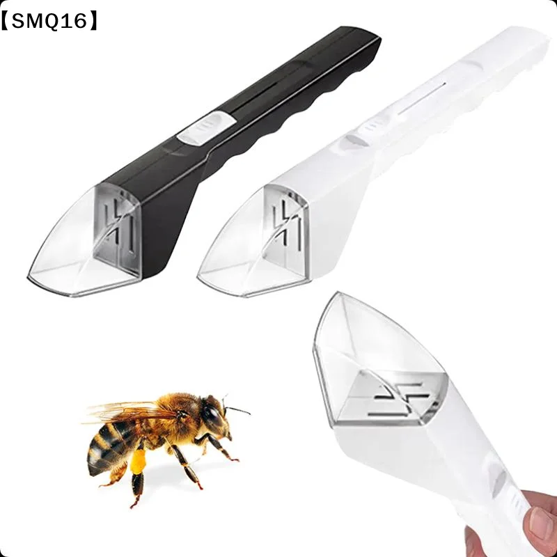 Portable Handheld  Catcher Transparent Push Type  Observer Contactless Bug Catcher Children's  Catching Tools【SMQ】