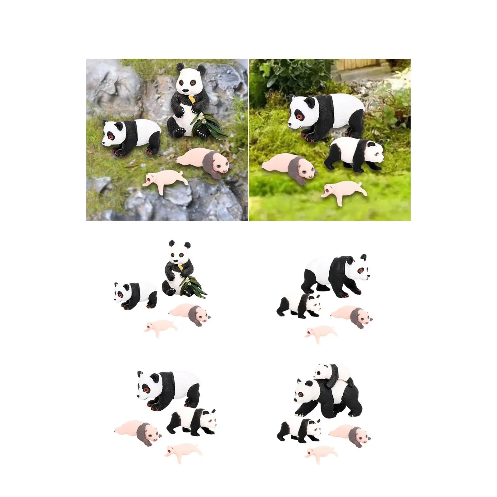 Panda modelo ciclo de vida animal brinquedos educativos, desktop partido, 4 partes