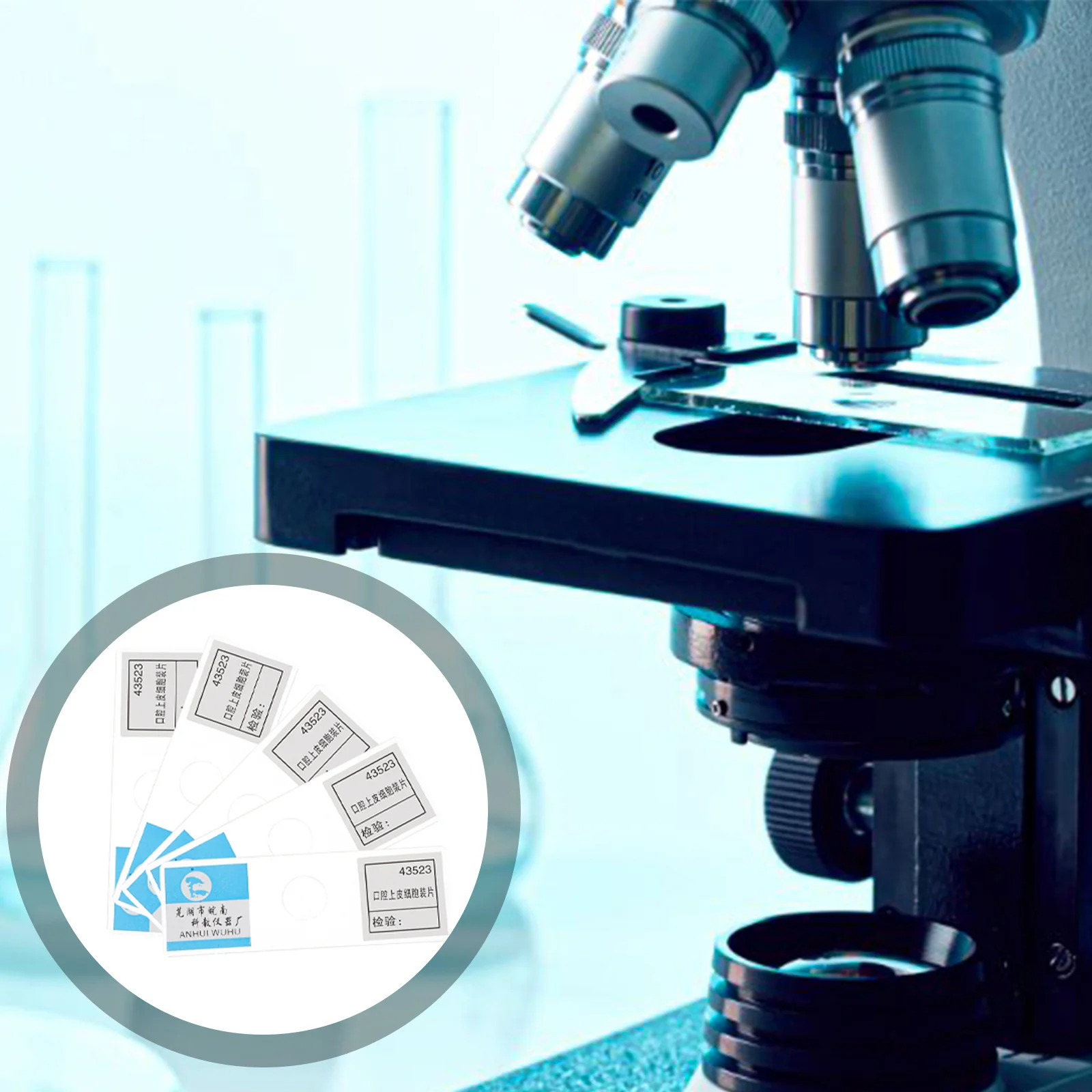 

5Pcs Prepared Microscope Slides Biological Education Oral Epithelial Cells Glass for Science Teaching Bioexperiment