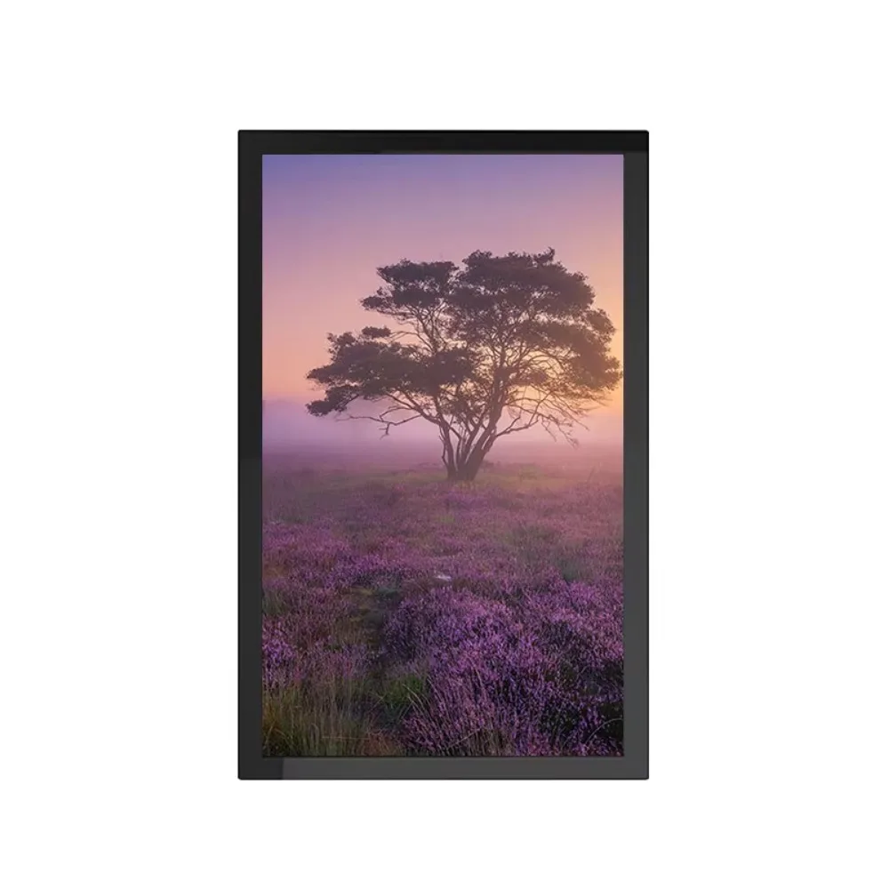 Outdoor 43 inch wall mounted digital signage LCD display for AD media player