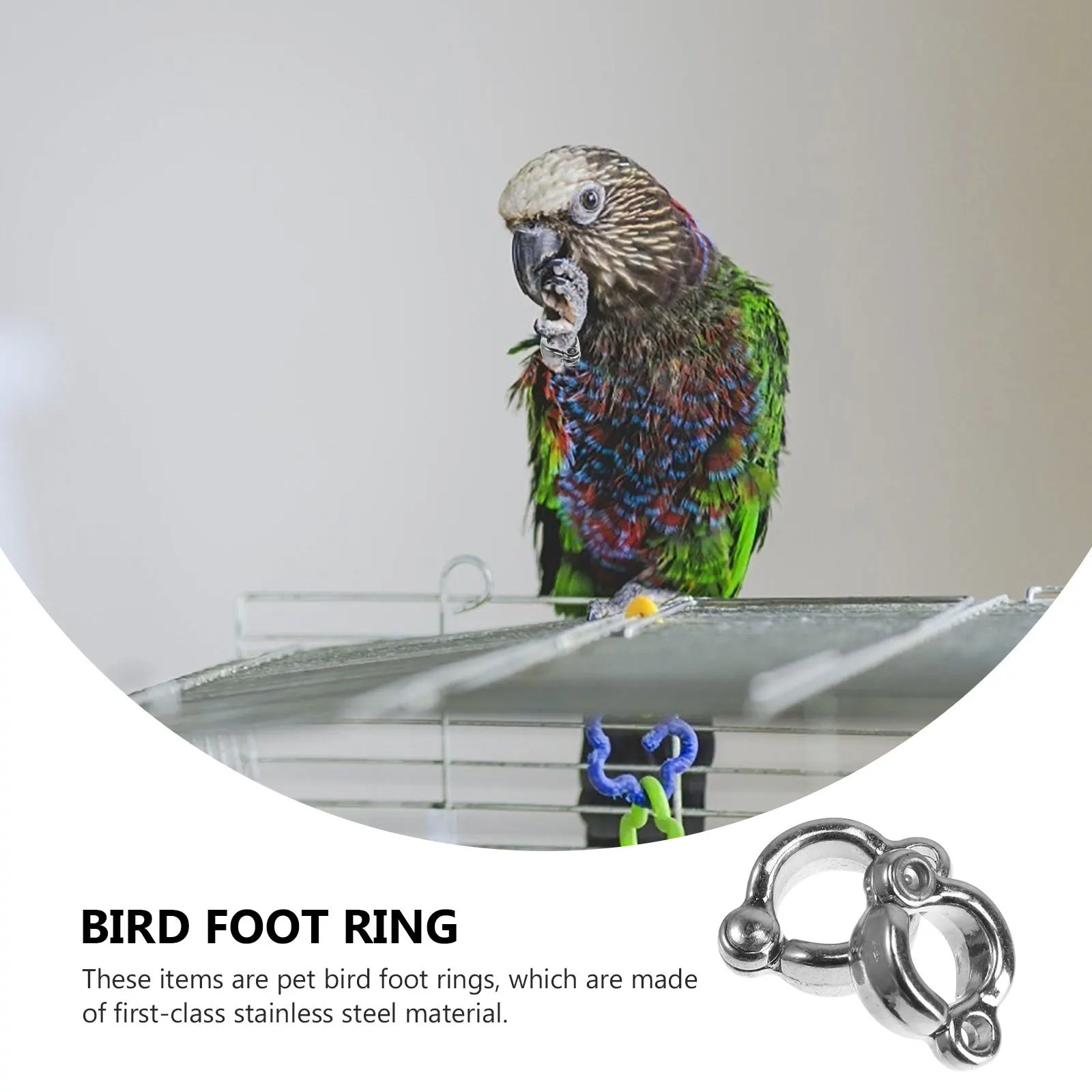 

6Pcs Strong Stainless Steel Foot Rings for Birds U-Shaped Parrot Leg Chains Scratch Resistant Perfect for Avian Enthusiasts