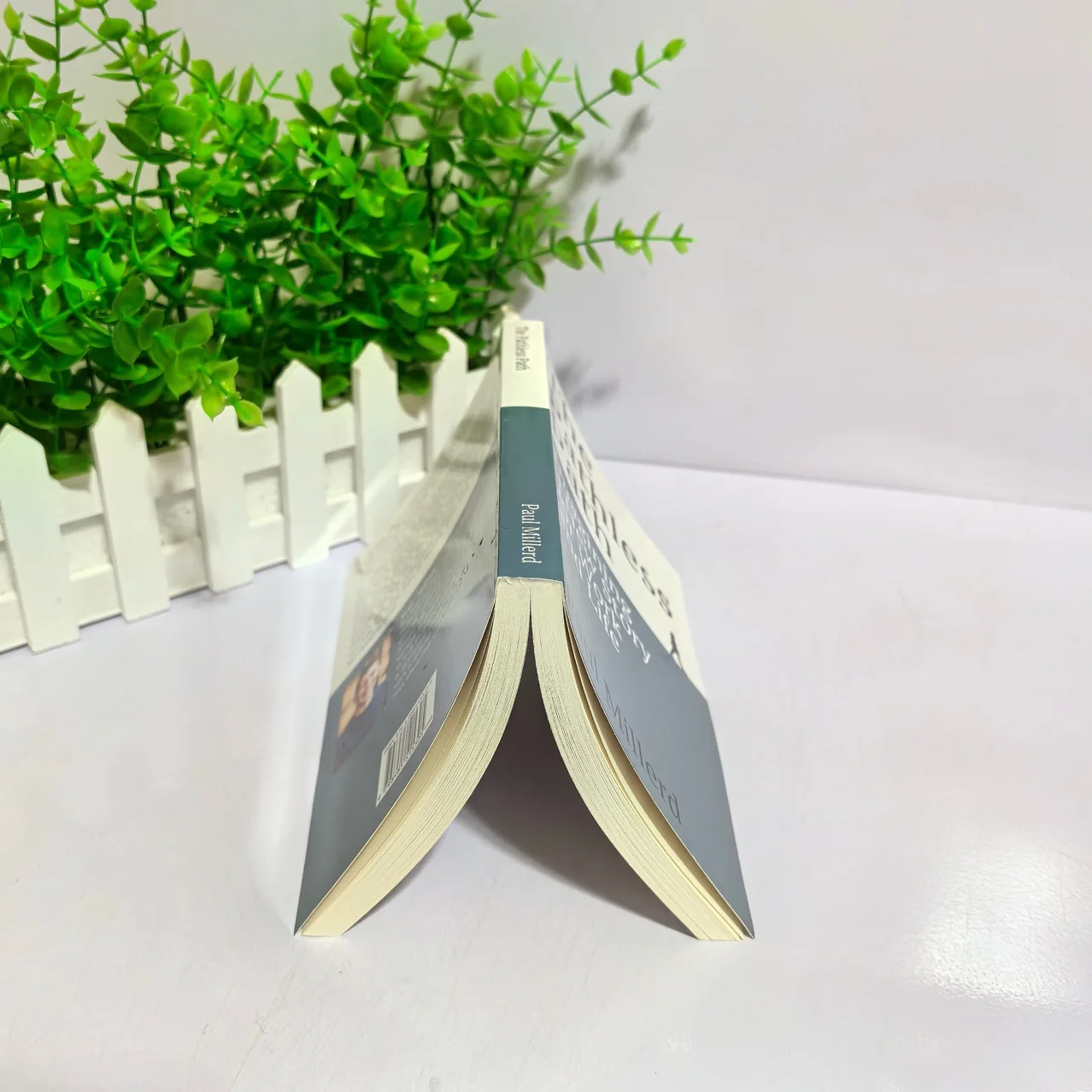 The Pathless Path Oleh Paul Millerd: Rangkul Karir Non-Tradisional & Hardcover Bahasa Inggris Secara Bebas