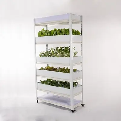 

He Xiaoer free shipping family balcony vertical three-dimensional farm intelligent hydroponic vegetable growing machine soilless