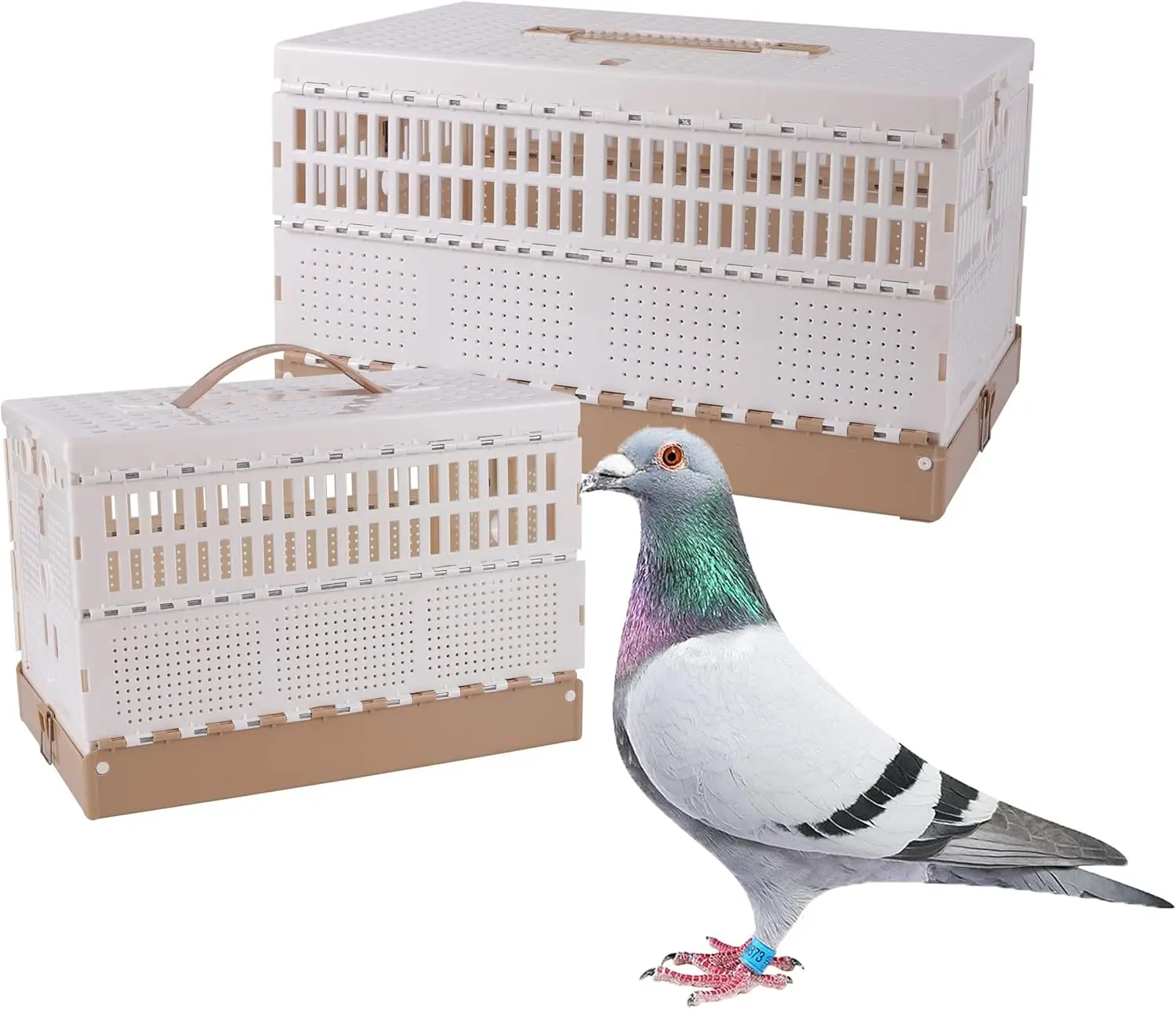 

Foldable Plastic Pigeon Cage with Handle, Portable Bird Travel Carrier for Training and Release Competition (Three Doors)