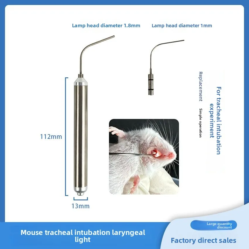 Geräte für Tierlaryngoskopie und -intubation: Laryngoskope, Larynxlichter und Faseroptische Schläuche für die Anästhesie von Ratten und Mäusen – Detail 1