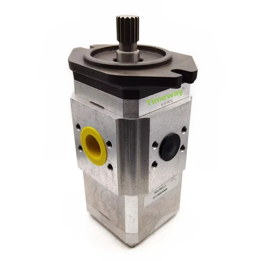 EIPC3 Hydraulic Pump for Replace ECKERLE EIPC3-064RB23-10 S196 High Pressure Internal Gear Pump EIPC3-064R