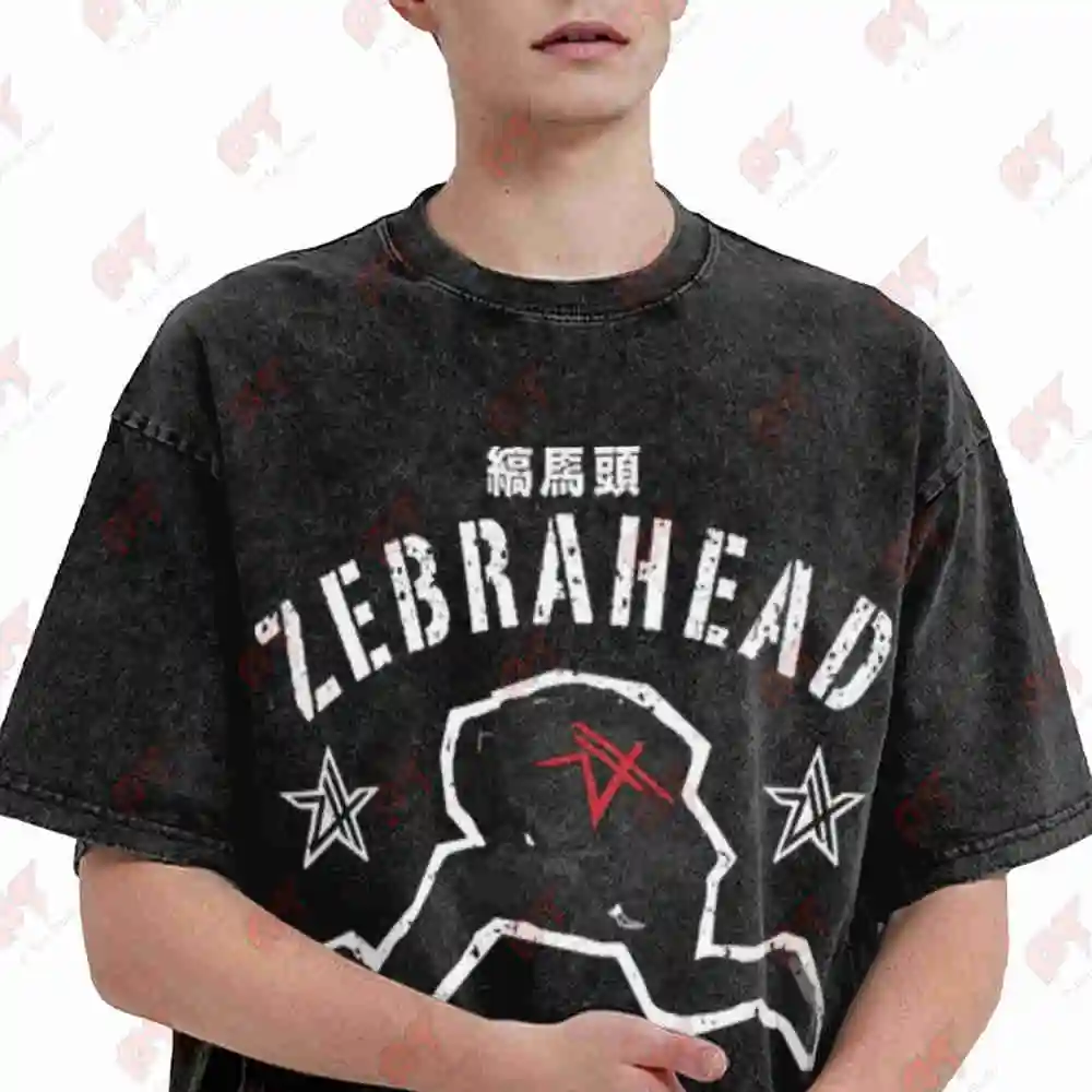 Zebrahead Vintage Washed Tee Pure Cotton T-Shirt
