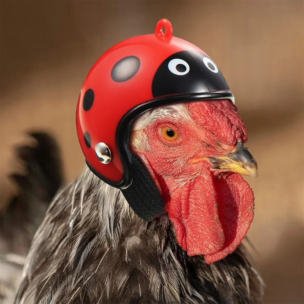 1Pc Chicken Helmet Small Pet Hard Hat Bird Quail Pigeon Hat Headgear Pet Bird Helmet DIY Cartoon Character Helmet Pet Supplies