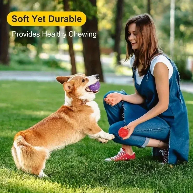 3 Pieces Durable Dog Toys: Squeaky Balls for Teeth Cleaning and Training - Safe and BPA Free for Small and Medium Dogs!