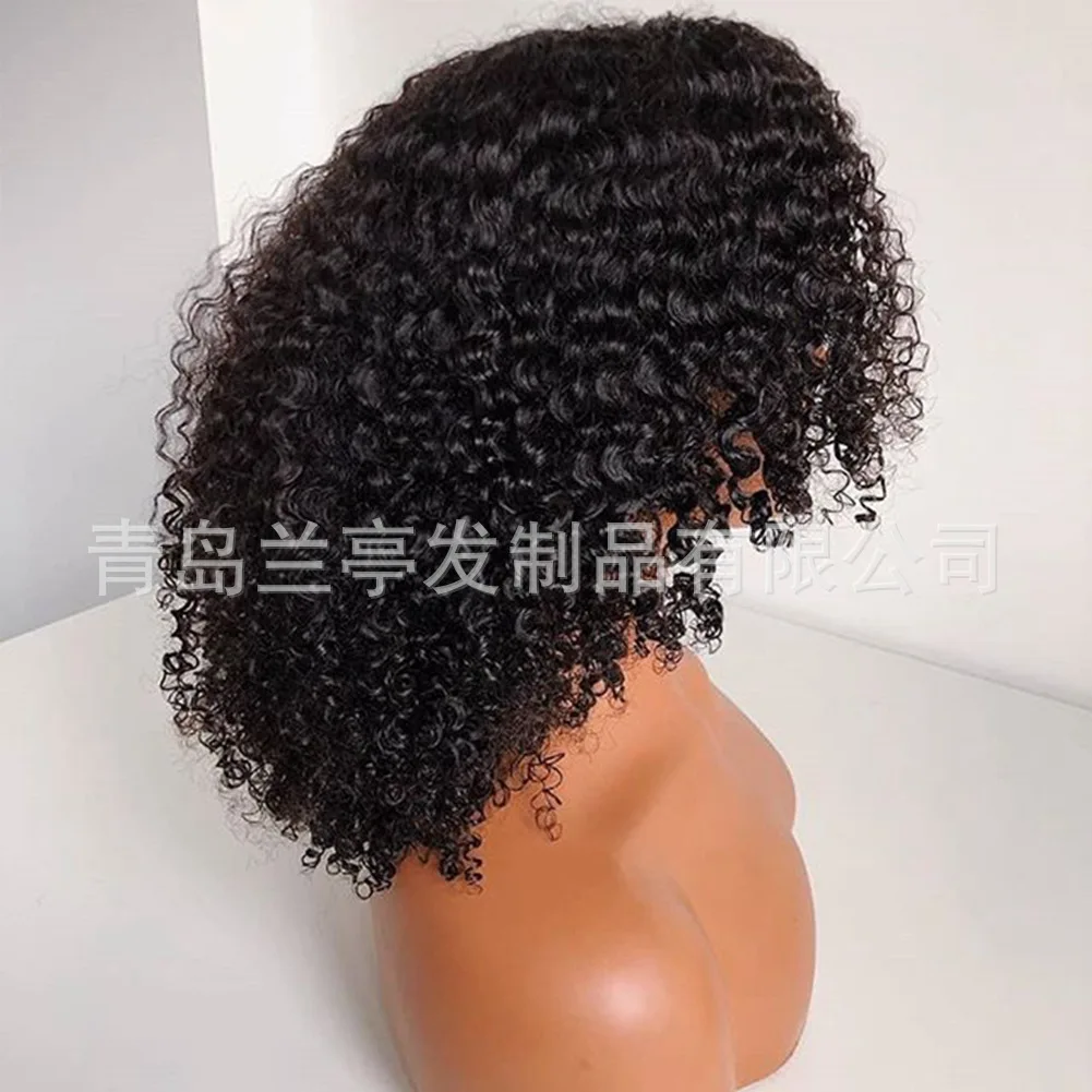 Synthetic Curly Wig for Women Afro Kinky Short Lace Front Cosplay Party Daily Wear High Temp Fiber