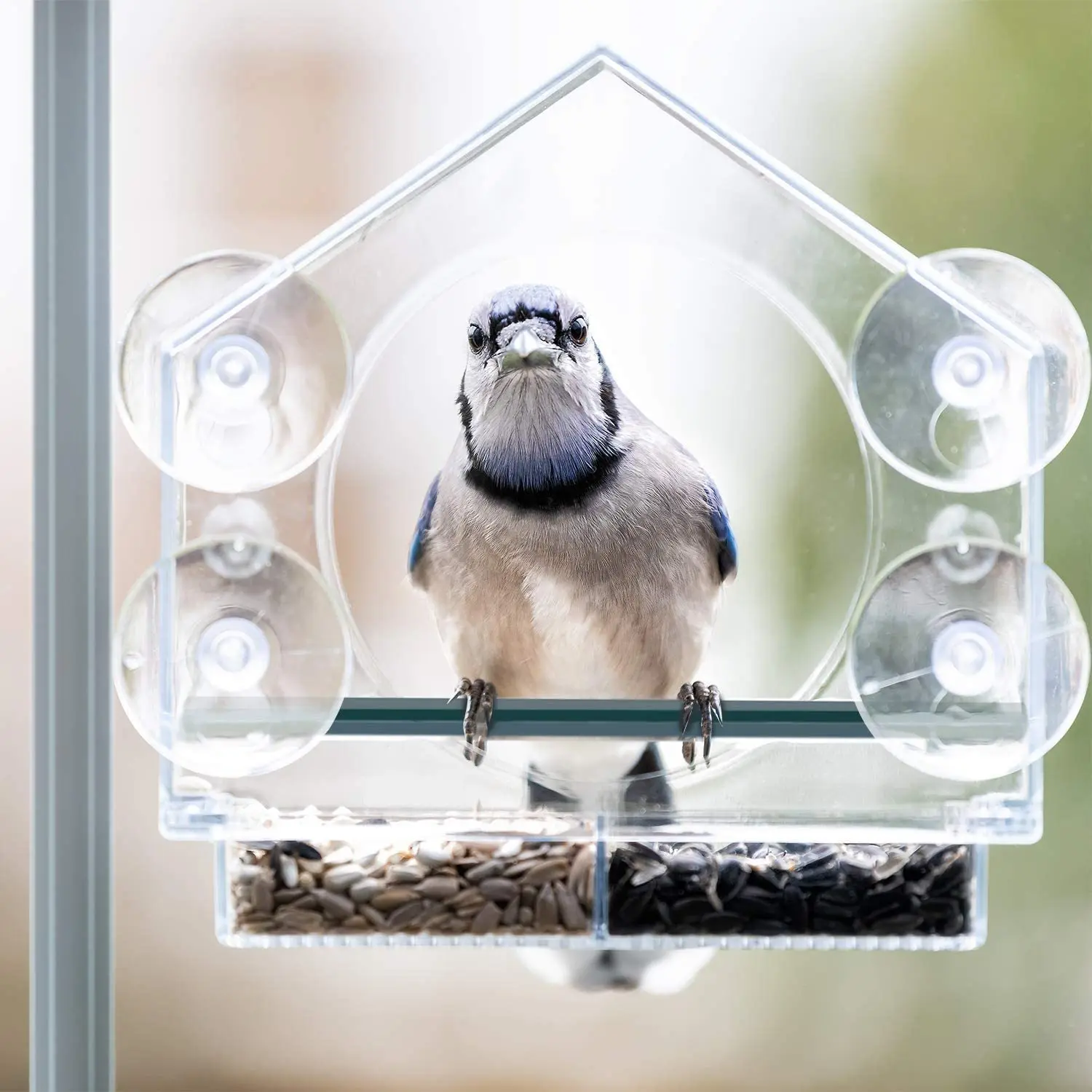 Bird Feeder Acrylic Transparent Window Bird Feeder Tray Bird House Pet Feeder Suction Cup Installation House Type Feeder