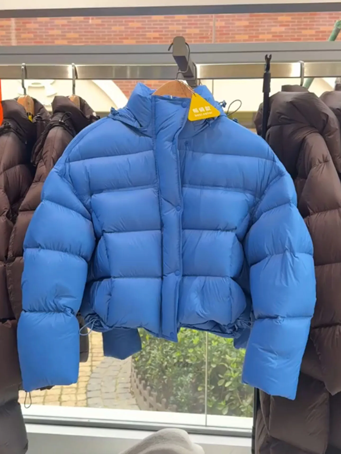 Jaet con capucha acolchada de ort azul para mujer, abrigo de invierno con pan cálido, talla pequeña, patrón de tortuga ell Ba