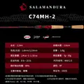 C74MH-2