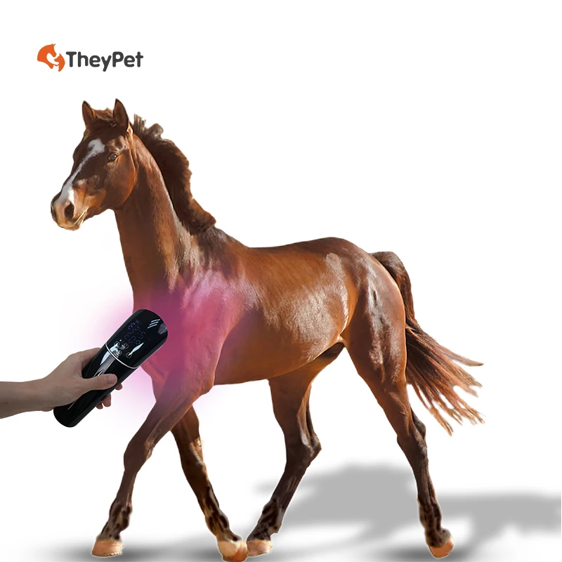 

Классический низкопрофильный ветеринарный инструмент для кошек и собак, характеристики дезинфекции и диагностики