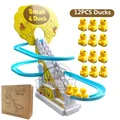 12 ducks  box