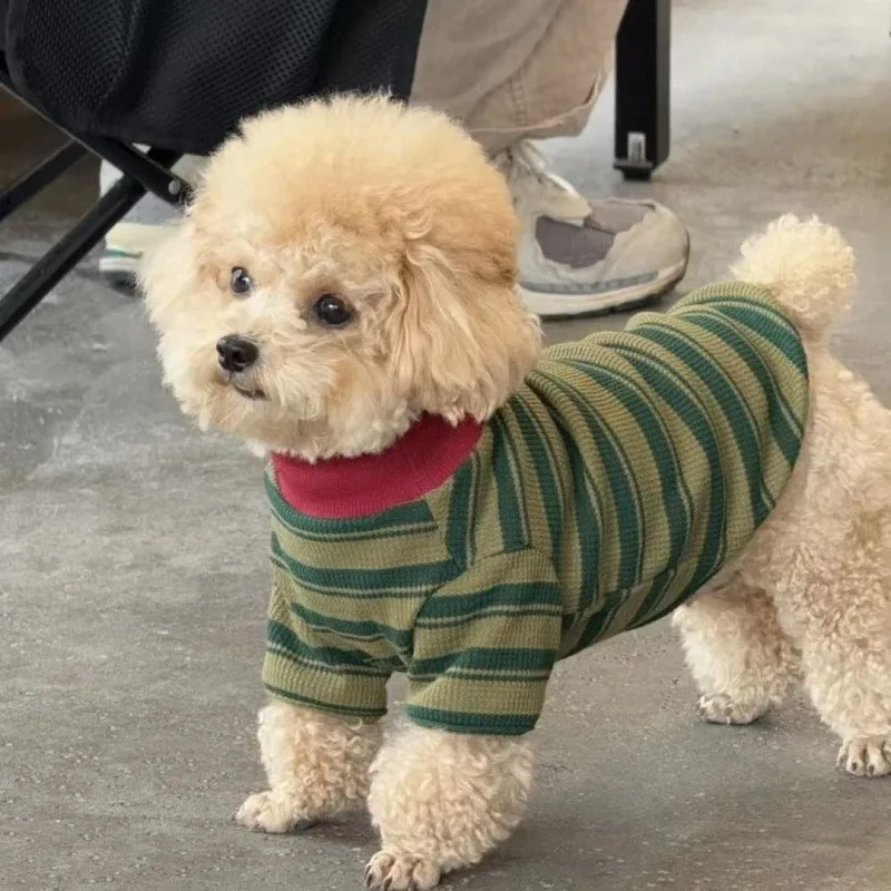 Ropa para perros con rayas verdes: camiseta de cuello redondo, capa interior térmica para el invierno y sudadera con capucha para perros de dos patas, ideal para razas como el teddy, el maltés y el yorkshire.