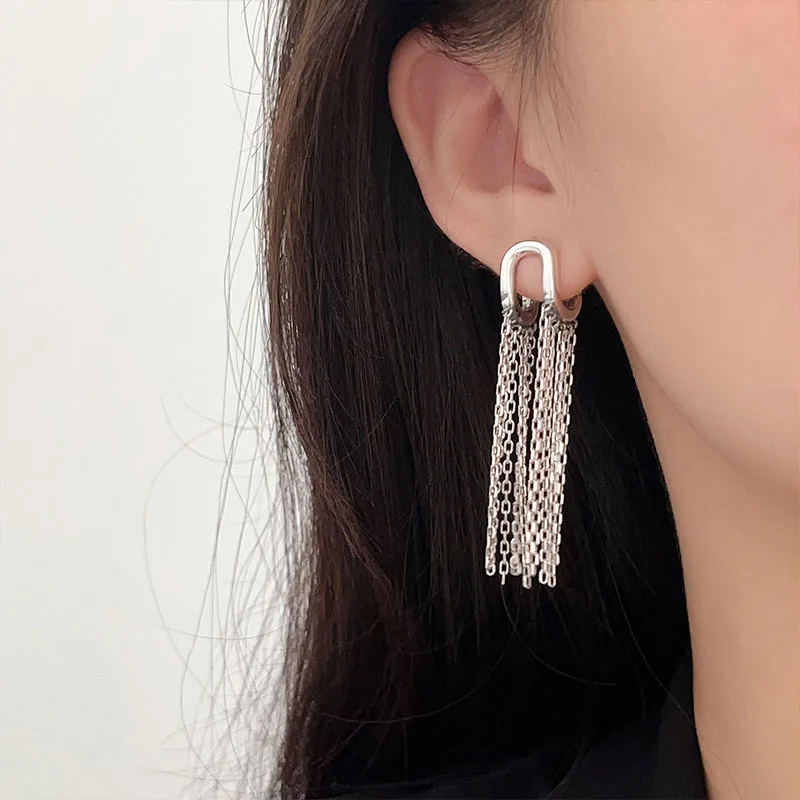 S925 Sterling Silver Tassel Long Light Luxury Earrings for Women's Temperament, Celebrity Style, Personality, and Crowd Earrings