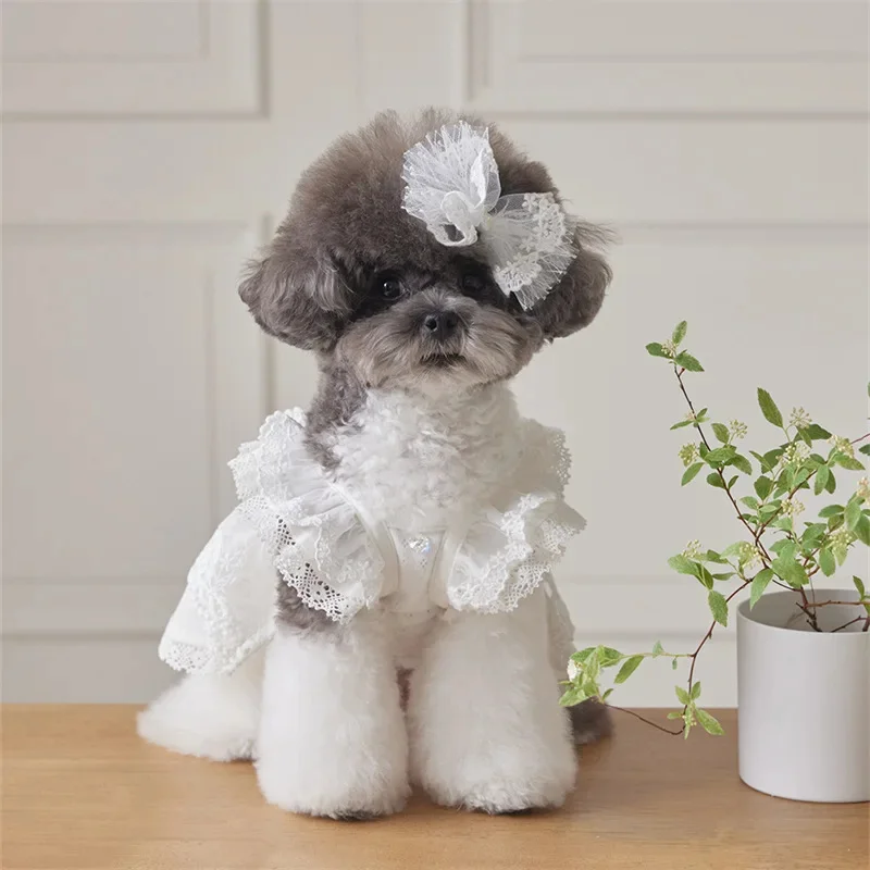 

2025 Pet Lace Flying Sleeve Dress Cat Top Spring And Summer Lace Princess Dress Small Dog Dresses For Small Dogs Puppy Clothes