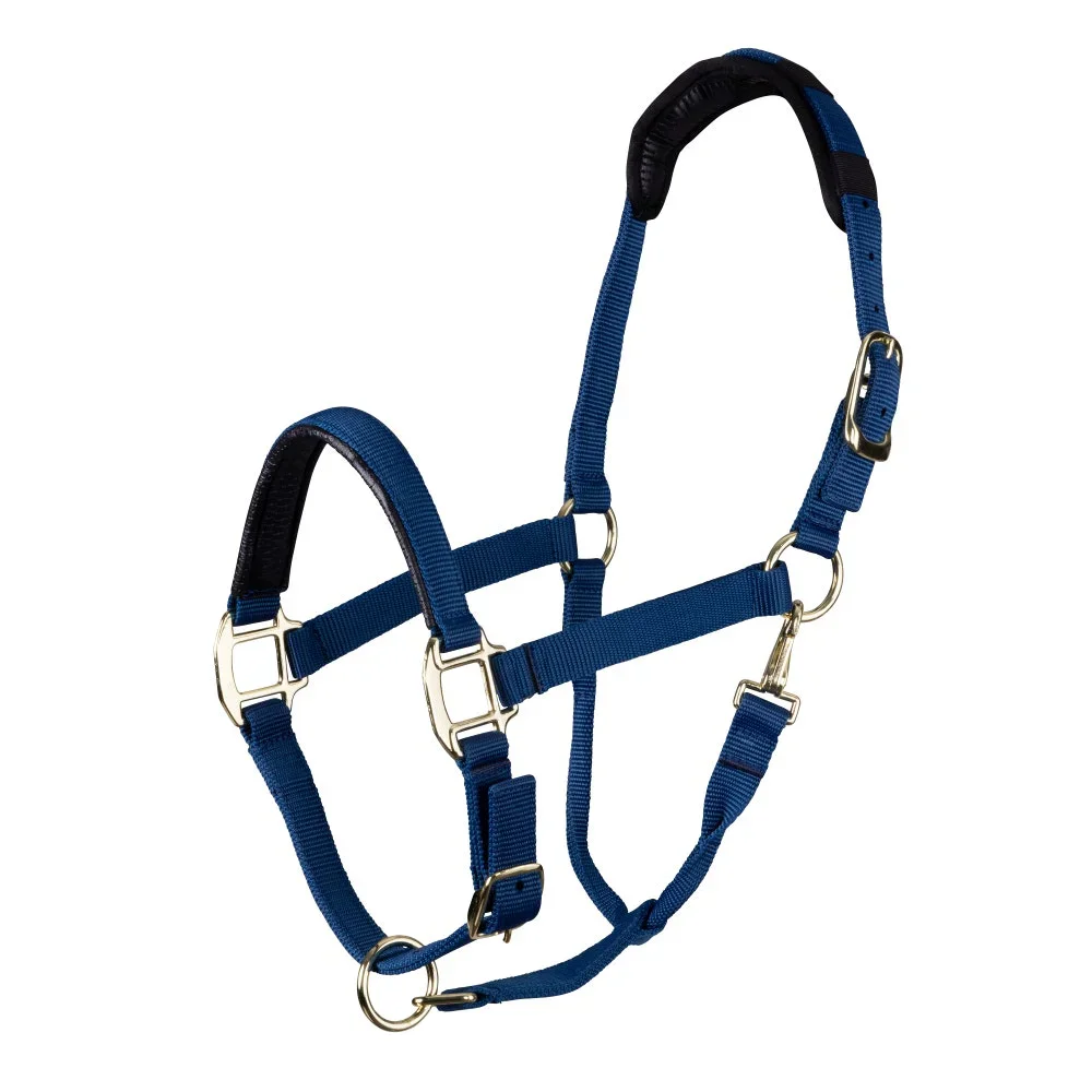 معدات الخيول العصرية الحصان Bridle Headstall مخصصة تحمل النايلون مقبض الحصان الرسن