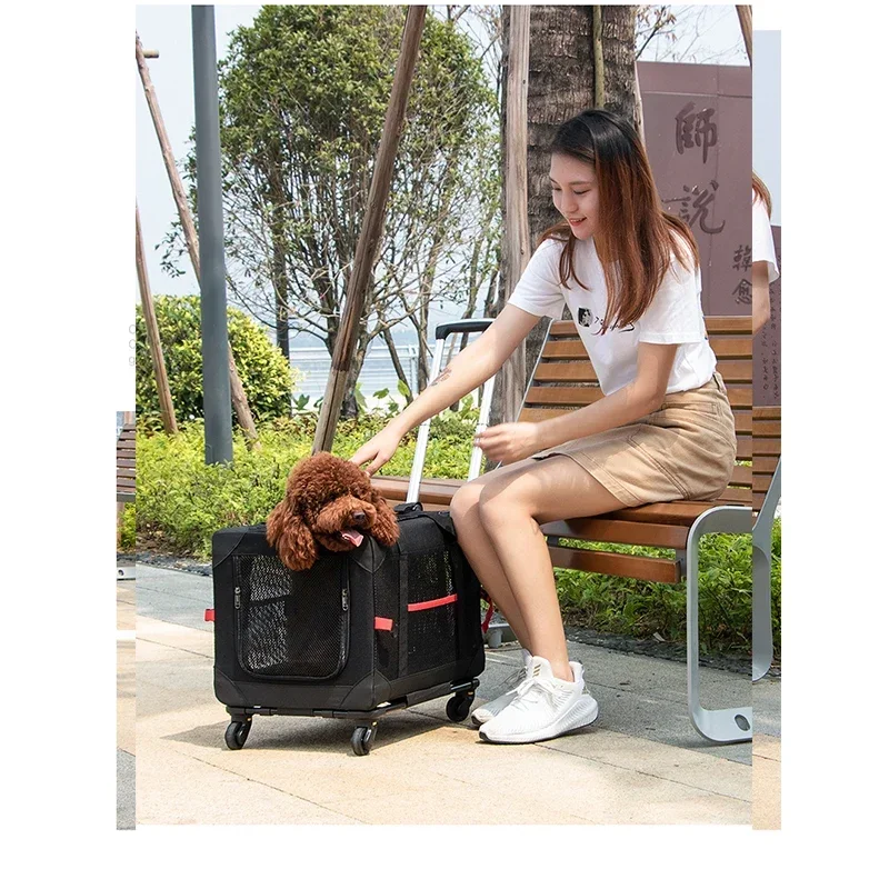 Newest Portable Pet Backpack Pet Trolley Bag Dog Outgoing Box Car Cage Air Empty Box Cat Split Travel Box Cat Backpack Carrier