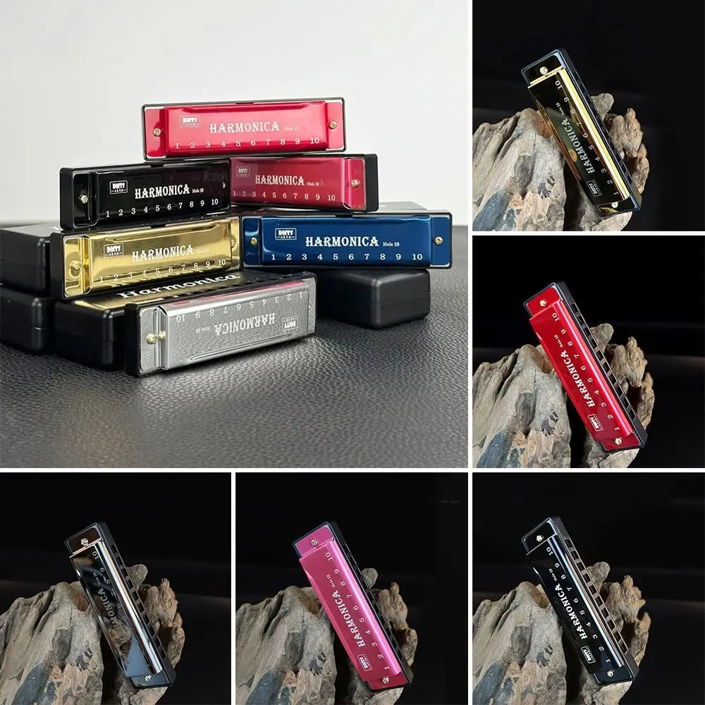 Portable Key of C 10 Hole Harmonica with Box Metal Mouth Organ Beginner Teaching Rectangle Beginners Educational Gifts Students