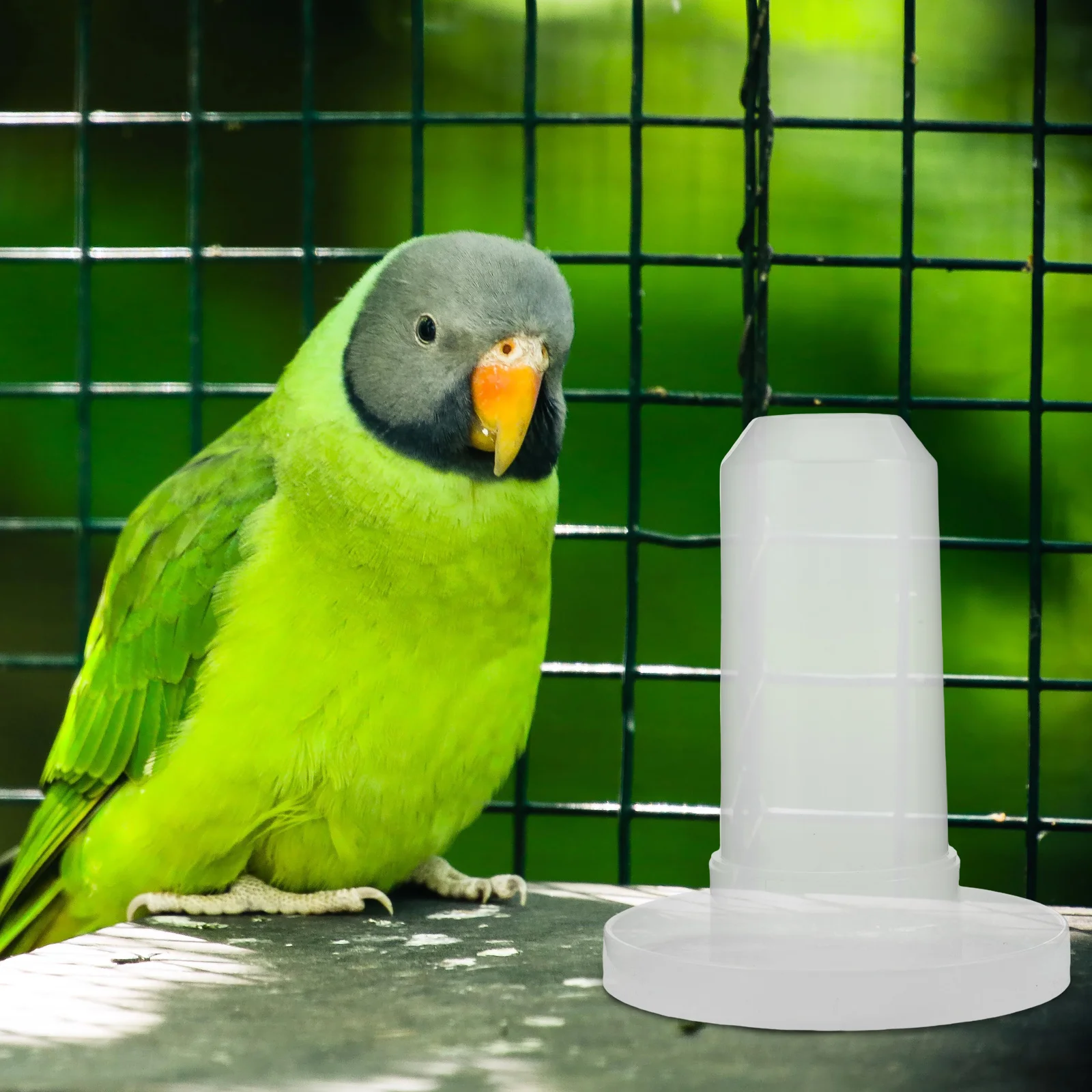 

2pcs Automatic Feeder For Chickens Heavy Duty Translucent Plastic Poultry Waterer Food Dispenser Compact Design Outdoor Bird