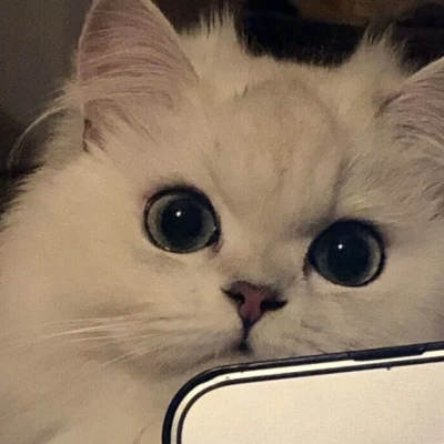 Pédale de voiture RC 1/14, pièces de rechange pour panneau latéral RC, robuste, marchepied latéral en métal pour modèle de voiture sur chenilles, accessoires de bricolage