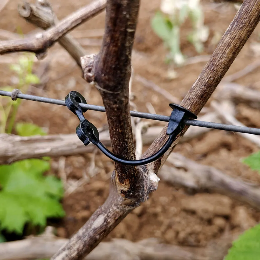 

Grape Vine Clips Plant Fixing Tomato Securing Climbing Plants Trellis Plastic Sturdy Gardening Tools Flexible