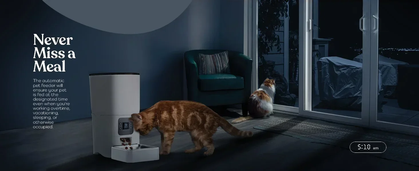 cat feeder