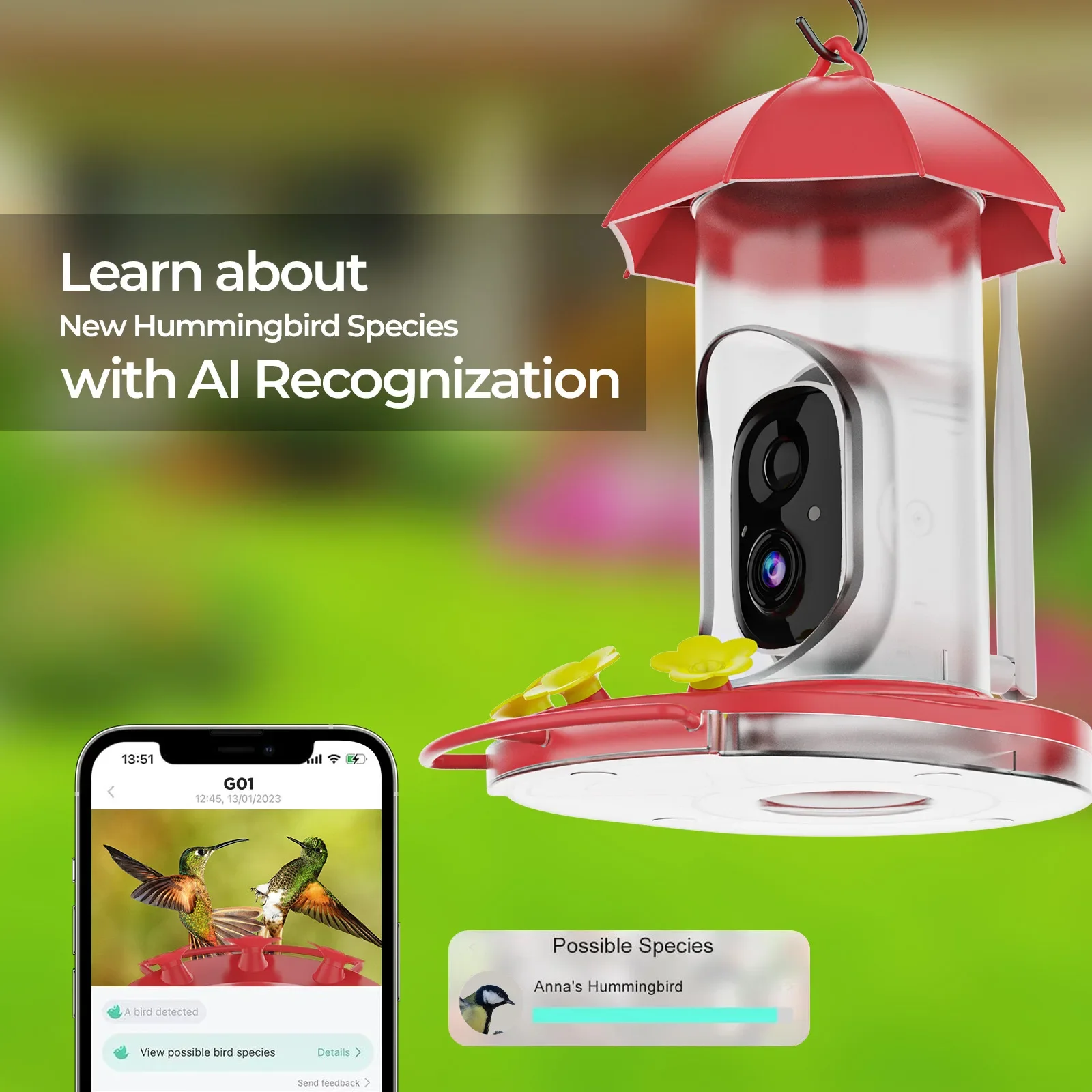 Garden Hummingbird Water Feeder with High Resolution Camera Ai Kids Learning Bird Species