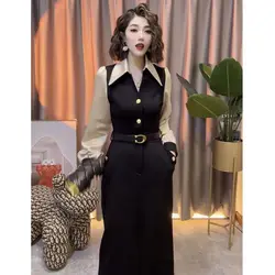 High Internet Celebrity Popular Fashion Dress Autumn New Style Temperament V-neck Fake Two-piece Waist Cinching Slimming Skirt