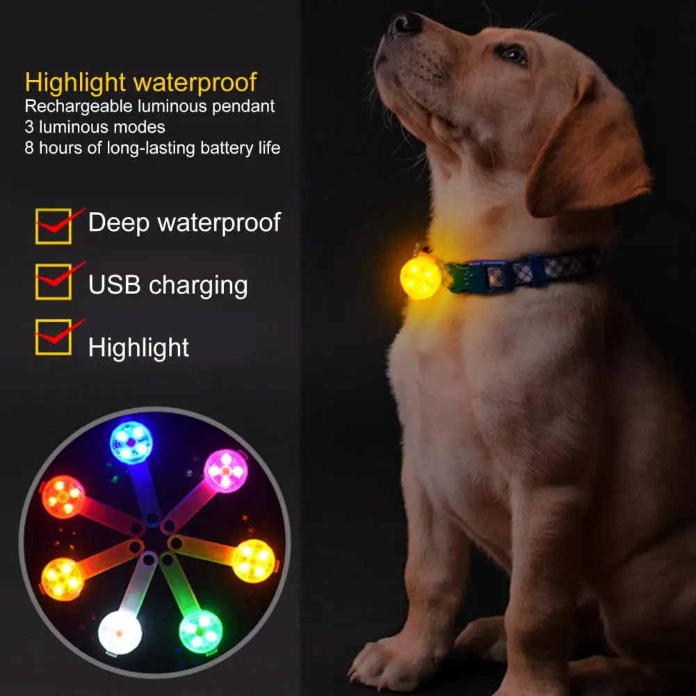 Easily Use  Useful High Visibility Luminous Pet Collar Attaches Accessory Flashlight Cat Brand Water-proof   for Dog