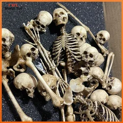 1/12 Scale Human Beings Skeleton PVC Model for 6in Action Figure Accessory Toys Scene Collection