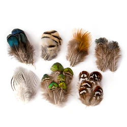 20/50/100PCS Peacock Pheasant Feathers Children's handmade material natural feather